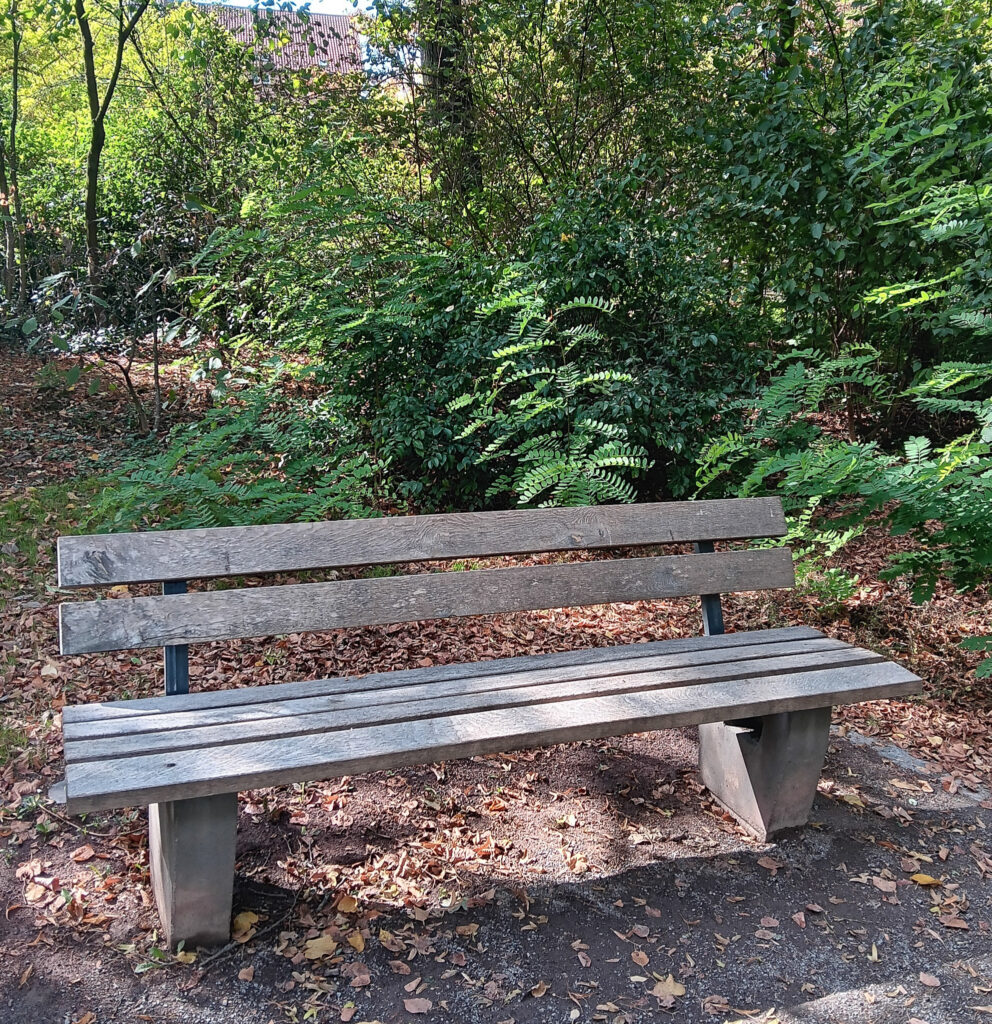 Rose Schliessmann – Begegnungen Eine leere Bank in einem Park.